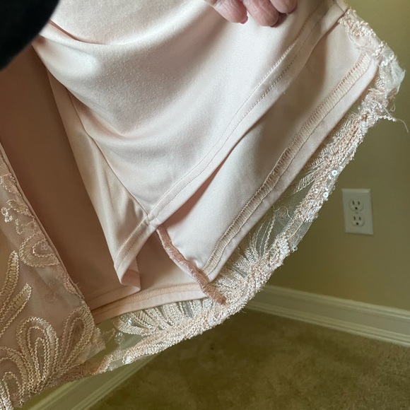 Gorgeous Blush Adrianna Papell Gown. Petite hemline. Mother of the Bride dress. - Picture 11 of 16
